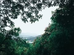 -北京十三陵国家森林公园蟒山景区