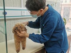 -爱派特动物医院·全科诊疗中心
