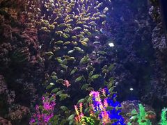 -海合安青岛极地海洋公园