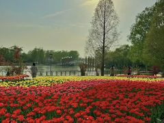 -石家庄市植物园
