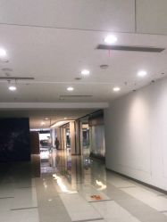 点击看大图 -藤野造型