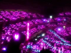 -南京奥林匹克体育中心-体育馆