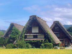 -白川乡与五箇山的合掌构造村落