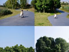 -两河城市森林公园