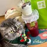 奈雪🎄车厘子圣诞树！送的宠物围脖实在太可爱啦