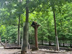 -都江堰中华大熊猫苑