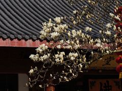 -杭州上天竺法喜讲寺