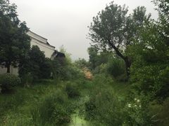 picture-和茶馆(西溪栖悦城店)