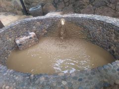 -100蛋泥浆浴