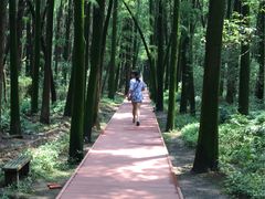 -同里国家湿地公园