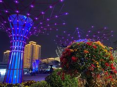 -文华公园(禅城区)