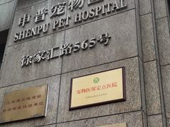 -申普宠物医院·心脏介入·心血管微创(总院)