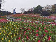 -铁山坪森林公园