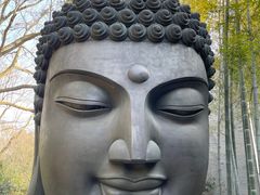 -杭州植物园