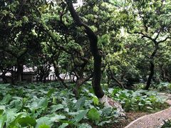 -黄埔荔枝公园