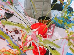 -鹏欣水游城
