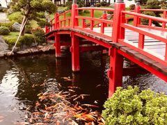 -芽庄珍珠岛游乐园
