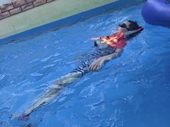 -上海玛雅海滩水公园