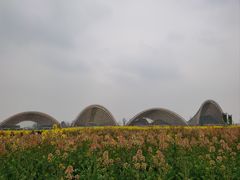 -中国天府农业博览园