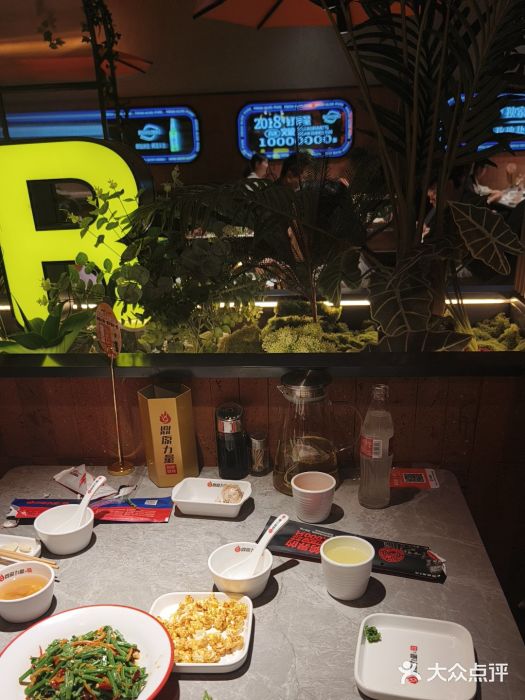 鼎原力量东北吊炉烧烤(临河街店)图片