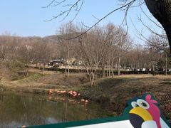 -合肥野生动物园