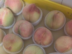 -老袁家蜜桃农场·阳山水蜜桃