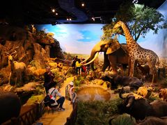 -陕西自然博物馆