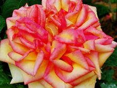 -人民公园(罗湖区)