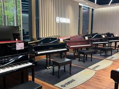 -知音艺术教育培训·钢琴培训·音乐培训(河西金鹰世界校区)