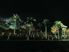 -三亚红色娘子军演艺公园景区