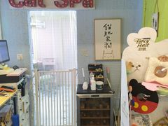 -十年猫舍·猫咪专门店(普陀店)