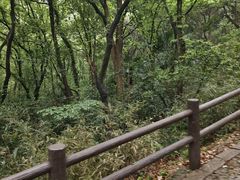 -苏州上方山国家森林公园
