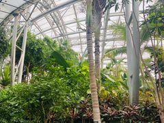 -北京植物园-展览温室