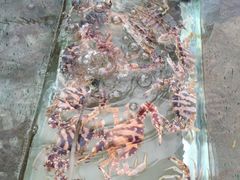 -三亚海韵度假酒店·渔人码头海鲜火锅BBQ自助餐厅·落日吧