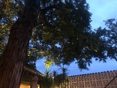 大堂-SUSU·苏苏(四合院创始店)
