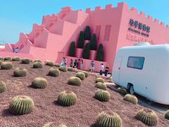 -漳州滨海火山岛自然生态风景区