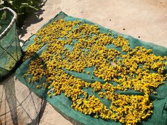 -食乐佳麻辣香锅(森林摩尔商业街区店)