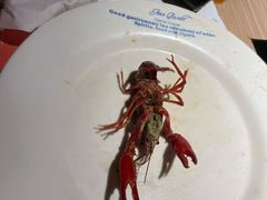 -星伦多自助料理·涮烤一体(嘉兴八佰伴店)