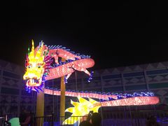 -锦江乐园舞狸花花游园会(夜场专享)