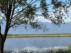 -野鸭湖国家湿地公园