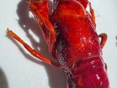 -胡大饭馆 24h(簋街总店)