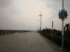 -上海棕榈滩海景酒店