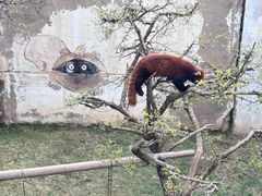 -青藏高原野生动物园