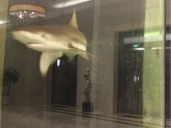 -海口绿发希尔顿酒店-田园汇自助餐·三文鱼·海鲜