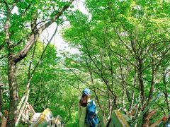 -妙峰山风景名胜区