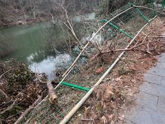 -青龙山国家森林公园