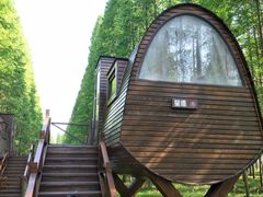 -黄海国家森林公园