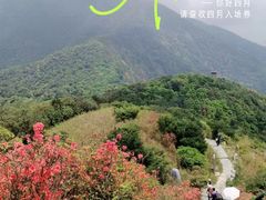 -梧桐山风景名胜区