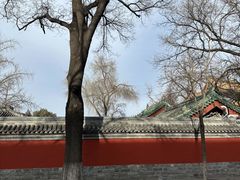 -北京国子监胡同