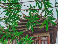 -韩湘水博园